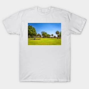 Cumberland Island National Seashore T-Shirt